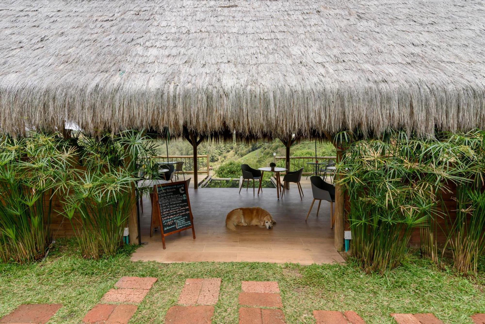 Levit Glamping - Hotel Guatapé ADULTS ONLY Exterior foto